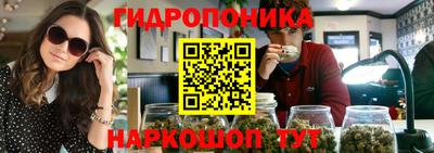 молекула духа Сланцы